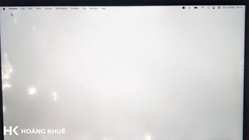 Hình ảnh màn hình máy tính bị đốm trắng